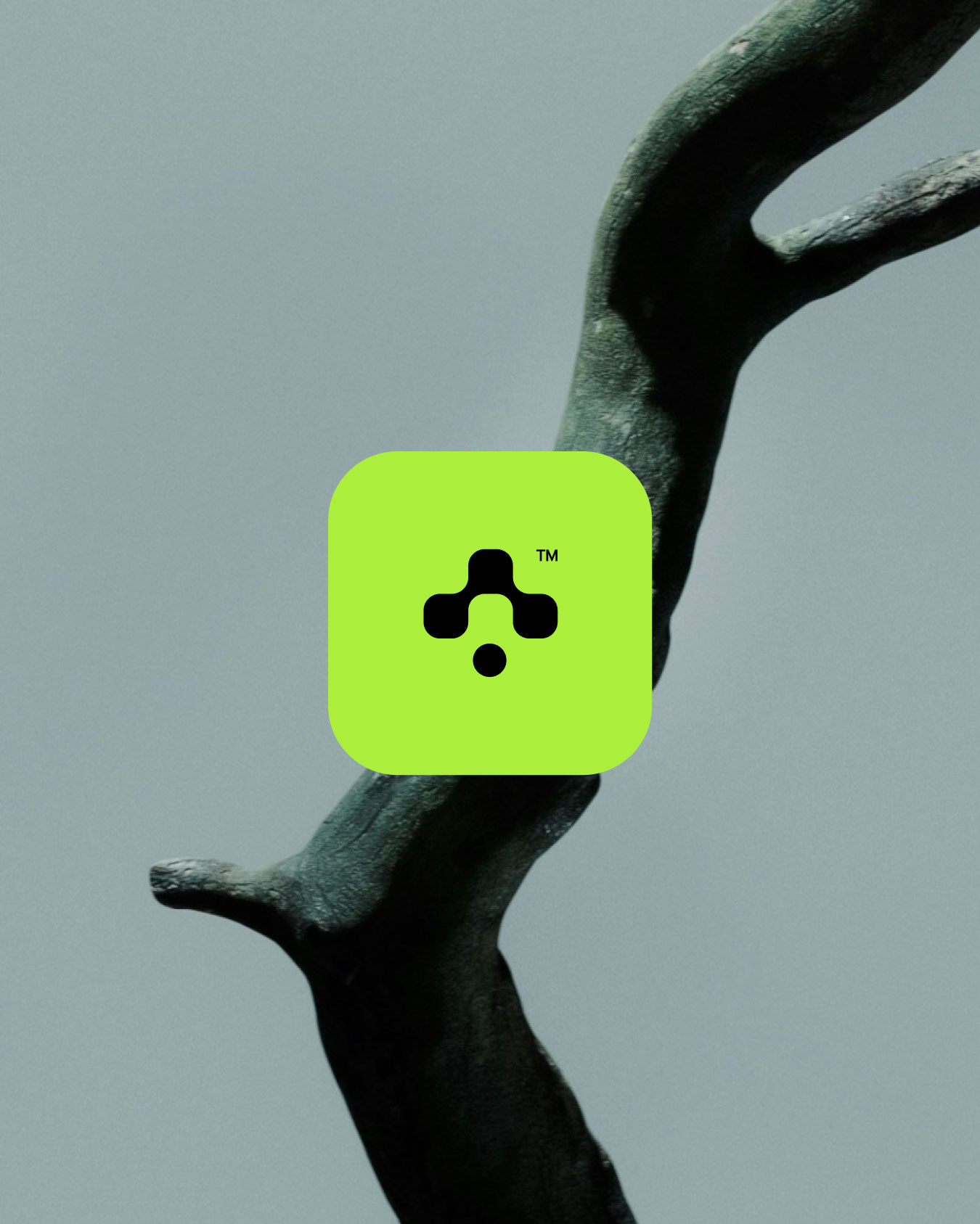 Neuronik — Stud Archive