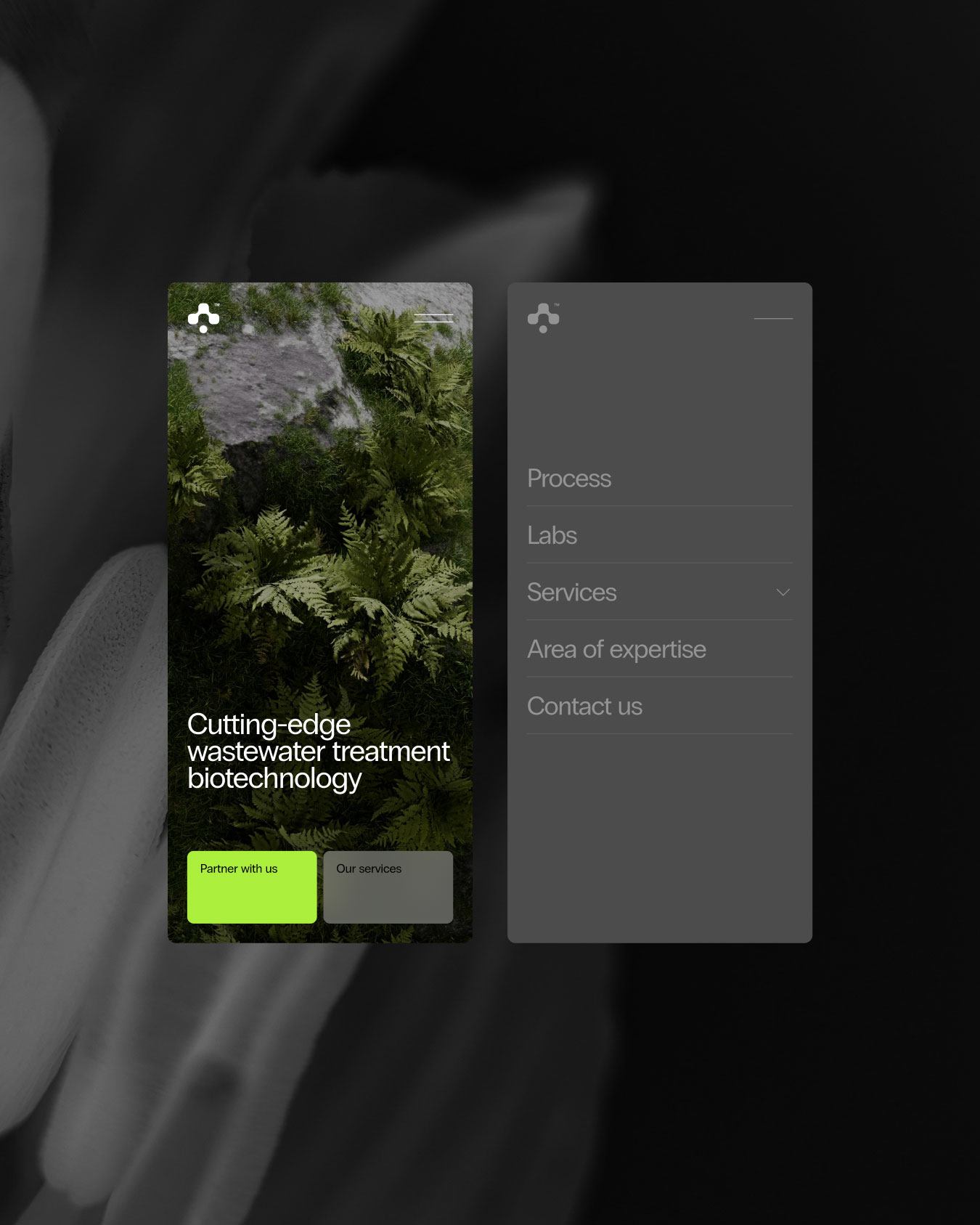 Neuronik — Stud Archive