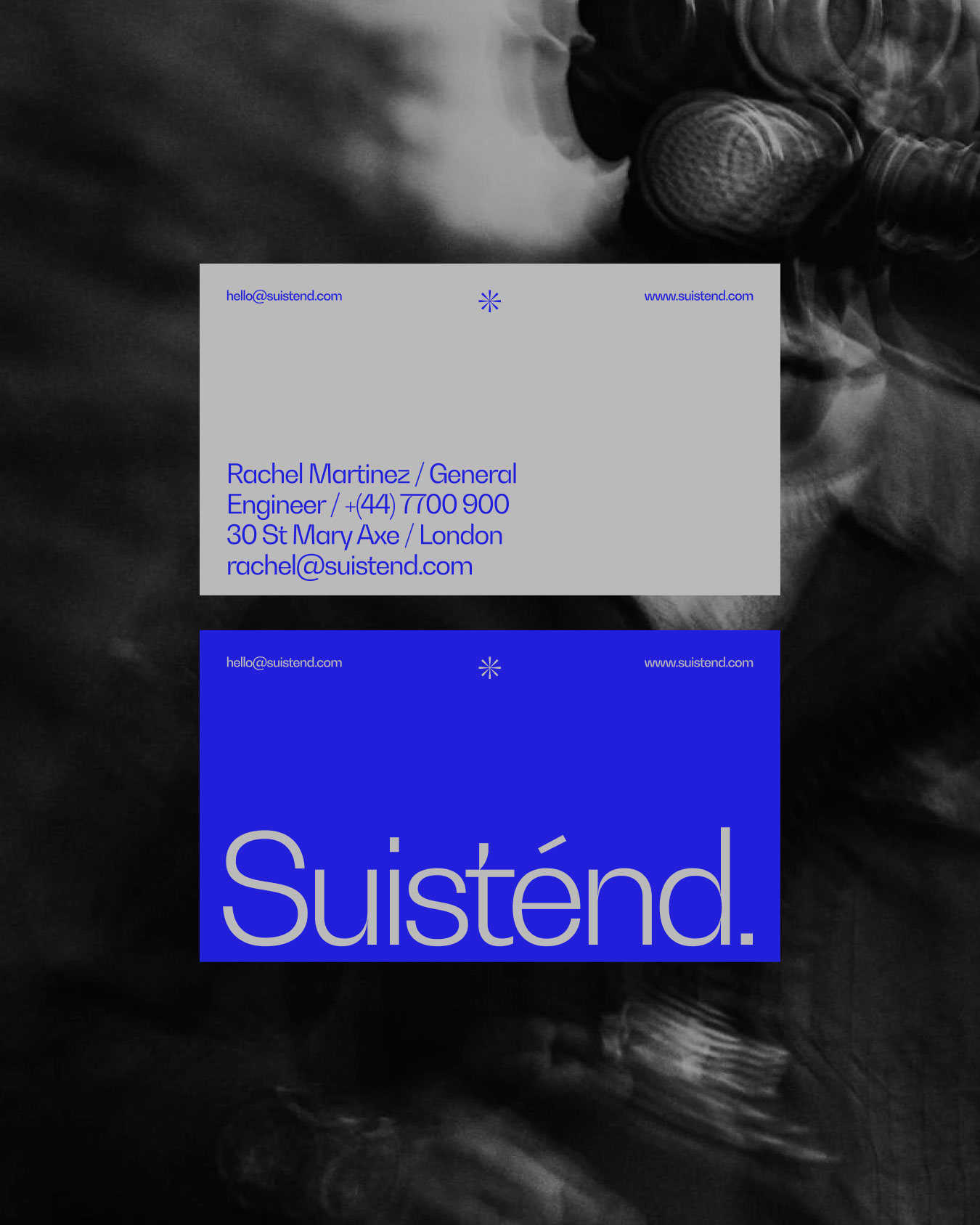 Suistend — Stud Archive