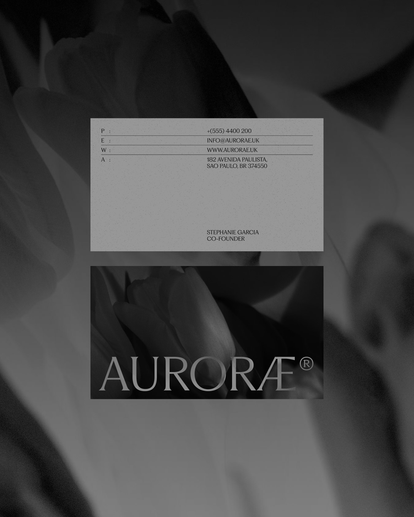 Auroræ — Stud Archive