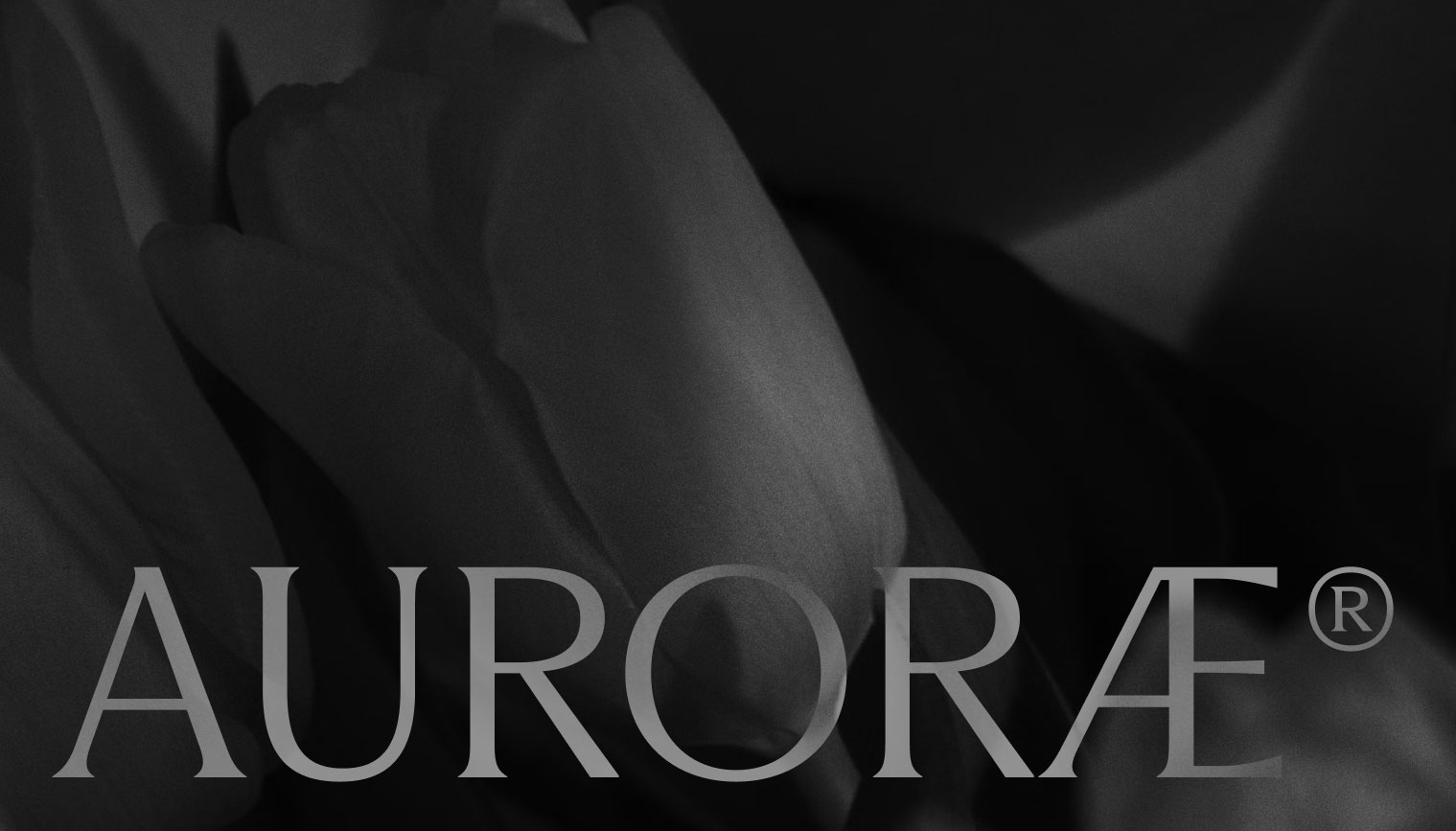 Auroræ Branding + Digital by Stud