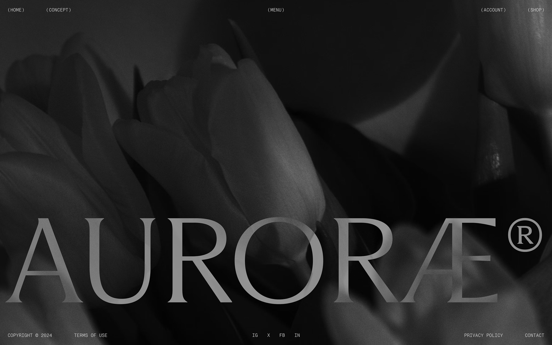 Auroræ Branding + Digital by Stud