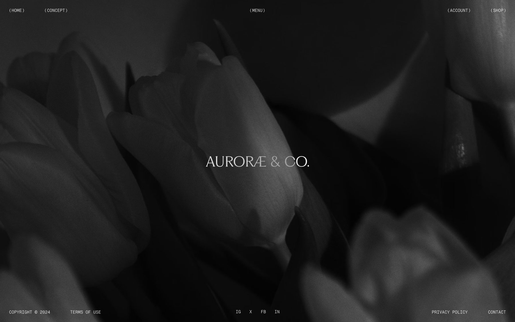 Auroræ Branding + Digital by Stud