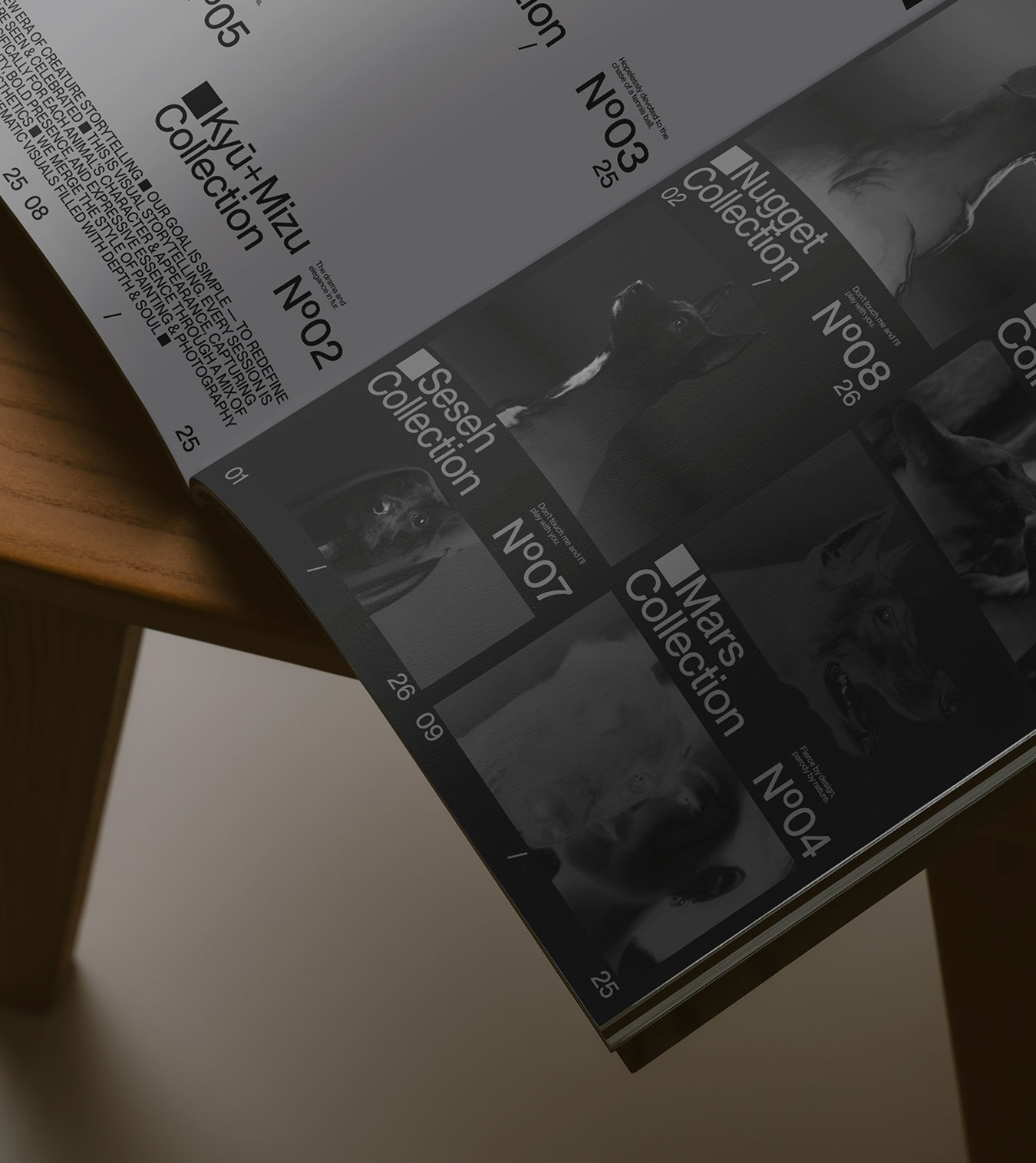Unleash Storytelling Brand by Stud